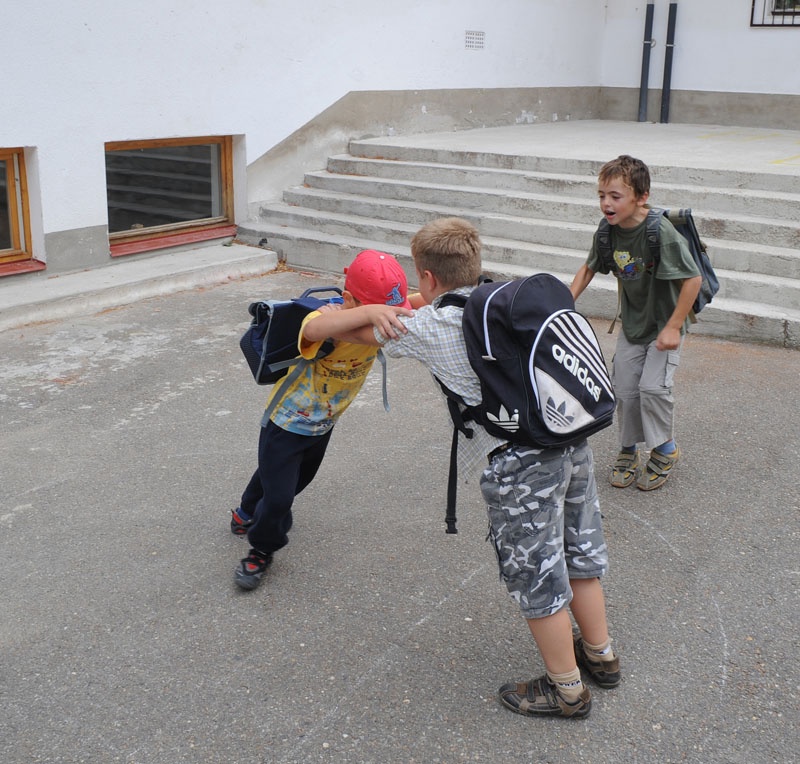 Waldorf School in Hamor