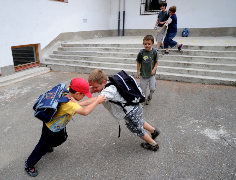 Waldorf School in Hamor