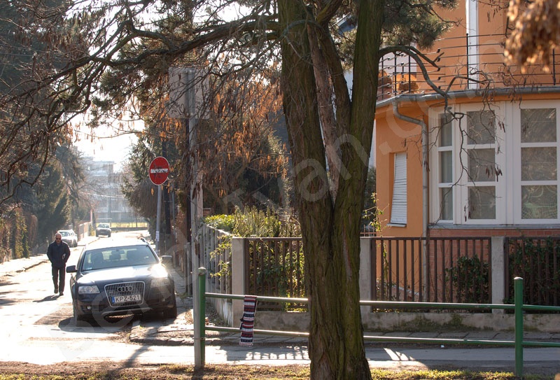 Napraforgó street